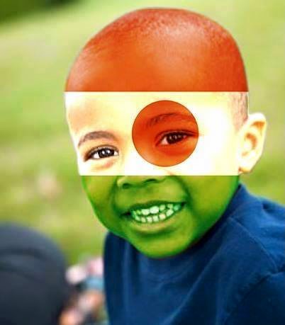 drapeau du niger