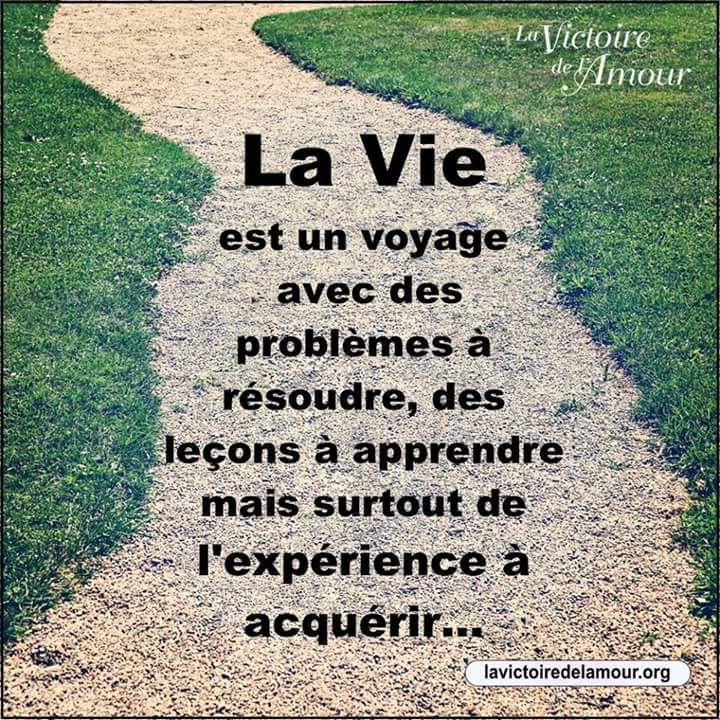 signification de l'amour