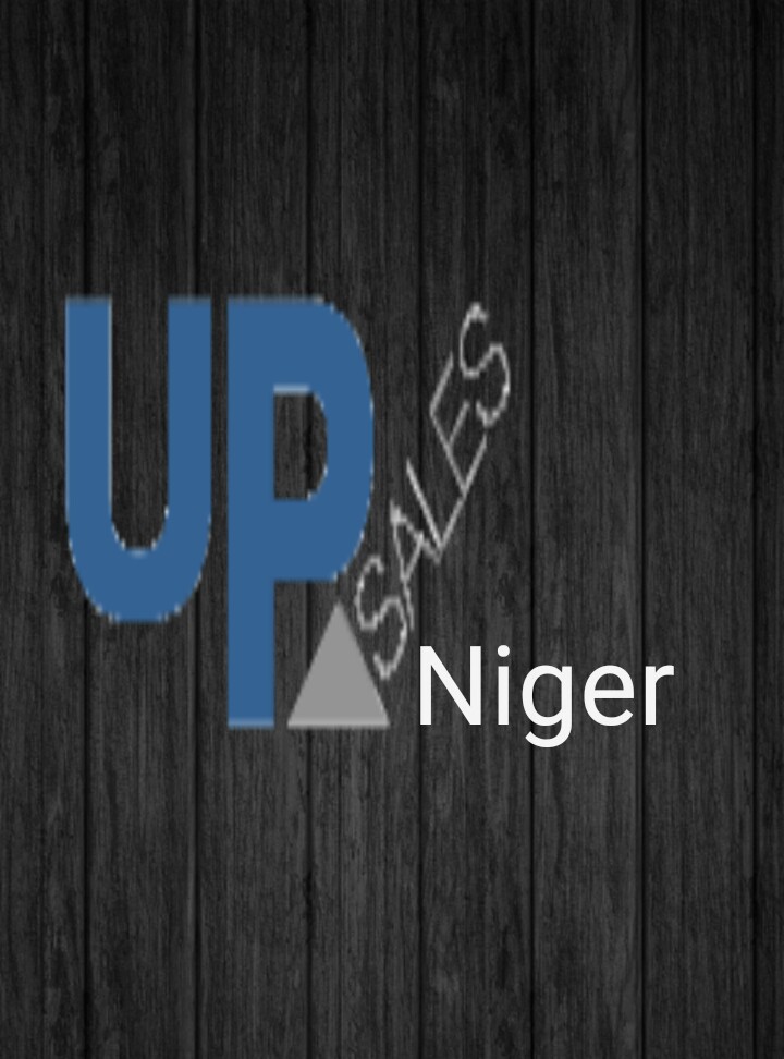 Upsales Niger